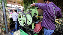 Sugar cane press extracting fresh cane juice, Udaipur, Rajasthan, India, January 2018. Hellier