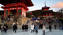 People visiting Kiyomizu-dera temple, a UNESCO World Heritage Site, Kyoto, Honshu, Japan, November 2017. Hellier