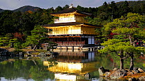 View of Kinkaku-ji, otherwise known as the Golden Pavilion, a Zen Buddhist temple, Kyoto, Japan, November 2017. Hellier