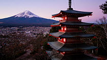 Timelapse of the sun rising behind Mount Fuji, with the Chureito Pagoda in the foreground, Arakurayama Sengen Park, Fujiyoshida, Japan, November 2017. Hellier