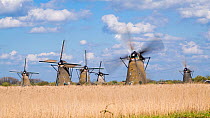 Timelapse of windmills turning, Kinderdijk UNESCO World Heritage Site, Netherlands, April 2017. Hellier