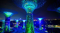 Timelapse of the Supertree Grovelight display at night, Each tree is a large vertical garden, Gardens by the Bay, Singapore, June 2017. Hellier