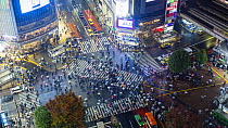 Timelapse of crowds of people crossing the centre of Shibuya shopping and entertainment district at night, Tokyo, Japan, November 2017. Hellier