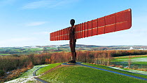 Aerial shot tracking round the Angel of the North sculpture, Gateshead, Tyne and Wear, Eangland, UK, October 2017. Hellier