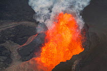 Lava originating from Kilauea Volcano, erupting from fissure 8, near Pahoa, fountaining over 70m high into the air and sending a river of lava toward, Kapoho, Puna District, Hawaii. June 2018.