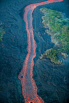 Aerial view of lava river flowing toward Kapoho, Puna District from fissure 8 of Kilauea volcano, near Pahoa, Hawaii. June 2018.