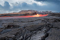 Lava erupting from fissure 8 of the Kilauea Volcano, in Leilani Estates, near Pahoa, Hawaii. Here a river of lava flows  through what was formerly a Papaya orchard in Kapoho, lower Puna District, Hawa...