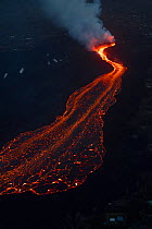 River of lava, erupting from fissure 8 of Kilauea Volcano, flowing towards Kapoho, Puna District, Hawaii. June 2018.
