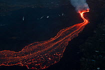 River of lava, erupting from fissure 8 of Kilauea Volcano, flowing towards Kapoho, Puna District, Hawaii. June 2018.