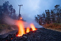 Lava emanating from Pu'u O'o on Kilauea Volcano, glows from holes burned through Leilani Avenue, Leilani Estates, near Pahoa, Puna, Hawaii. June 2018.