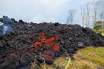 A'a lava which originated from Pu'u O'o, Kilauea Volcano, from a fissure in Leilani Estates, near Pahoa, Puna, Hawaii, USA.  June 2018.