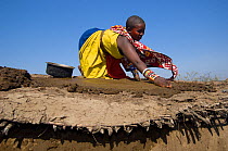 Maasai woman building a mud hut Maasai village, Kenya. September 2006.