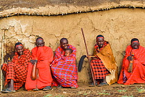 Maasai village elders, one with baby. with drinking gords in front of hut, Maasai village, Kenya. September 2006.