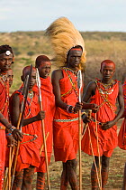 Maasai, young warriors, one with lion mane head dress. Maasai Village, Kenya. September 2006.