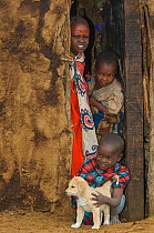 Maasai children with dog peering out of hut in Maasai village, Kenya. September 2006.