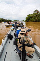 Several boats of tourists watching and photographing Jaguar (Panthera onca) Pantanal Matogrossense National Park, Pantanal, Brazil.