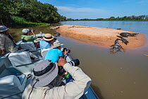 Tourists on boat taking pictures of Yacare caiman (Caiman yacare) on riverbank, Cuiaba River, Pantanal Matogrossense National Park, Pantanal, Brazil.
