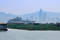 Fish and mussel farms with ferry and city skyline in background. Zhifu Island, Shandong Province. Bohai Sea, Yellow Sea, China. September 2017.