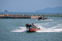 Fishermen coming into harbour from fish farms. Zhifu Island, Shandong Province. Bohai Sea, Yellow Sea, China. September 2017.