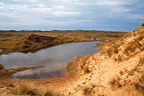 Sand dunes and freshwater pool, Aberffraw Dunes AONB, Aberffraw, Isle of Anglesey, Wales, UK, April.