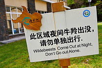 Sign which reads &#39;Wildebeests Come out at night, don&#39;t go out alone&#39;, this seems to be mistranslation of the Chinese for Takin. Tangjiahe National Nature Reserve, Qingchuan County, Sichuan...