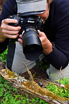 Photographer Magnus Lundgren photographing a Rhinoceros beetle (Oryctes sp.) Tangjiahe National Nature Reserve, Qingchuan County, Sichuan province, China