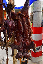 Genet (Genetta sp0 for sale as bushmeat alongside the road, Sichuan, China