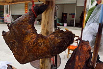 Beaver or Nutria, for sale as bushmeat alongside the road, Sichuan, China