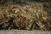 Folded Carboniferous age sandstones, Hartland Quay, Devon, UK, May