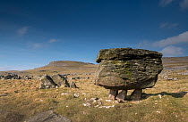 A Glacial Erratic at Norber near Austwick, Yorkshire, UK. This is one of the Norber erratics, where blocks of older Silurian sandstone were left on top of younger Carboniferous limestone by a retreati...