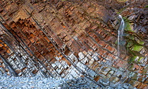 Tilted beds of sandstone and thin shales of the Carboniferous, Culm Measures (Bude Formation) Sandy Mouth near Bude, Cornwall, UK, May. The bed represent cycles of deposition associated with climate c...