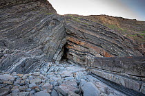 A Chevron or Kink fold anticline in Carboniferous age turbidite sediments. Bude, Cornwall, UK, may.