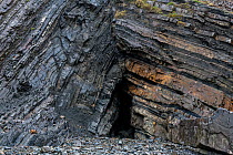 An anticlinal fold in Carboniferous age sandstone and shales. This angular anticline is a kink fold with a defined fracture along the fold axis. These rocks were folded and faulted during the Variscan...