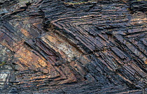 Chevron recumbent folding in Carboniferous age sandstone and shale (Culm Measures), deformed by compression during the Variscan or Hercynian orogeny, a geologic mountain-building event caused by Late...