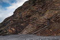 Chevron recumbent folding in Carboniferous age sandstone and shale (Culm Measures), deformed by compression during the Variscan or Hercynian orogeny, a geologic mountain-building event caused by Late...