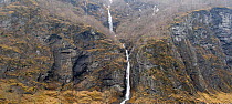 A small waterfall and Birch woodland on the slopes of Naerfjord, near Bergen, Norway, April