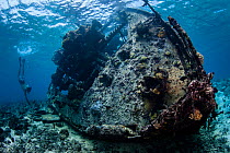 Wreck of the  Coomondeery a 132-tonne, 110- foot steamship, later converted to diesel auxiliary in Australia,  was wrecked on North Minerva Reef in 1969. January 2015