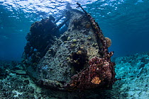 Wreck of the  Coomondeery a 132-tonne, 110- foot steamship, later converted to diesel auxiliary in Australia,  was wrecked on North Minerva Reef in 1969. January 2015