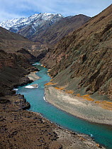 Landscape of Zanskar River, a tributary of the Indus, borders part of Hemis national park, habitat of the snow leopard (Panthera uncia), Hemis National Park, Ladakh, India