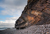 Chevron folded Carboniferous age sandstone and shale (Culm Measures), deformed by compression during the Variscan or Hercynian orogeny, a geologic mountain-building event caused by Late Paleozoic cont...