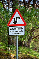 Sign warning drivers of Red squirrel (Sciurus vulgaris) crossing. Re-introduction project, Torridon, Scotland, UK. May 2018.