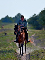 Man riding horse along dusty track. Letea, Danube Delta, Romania. May 2018.