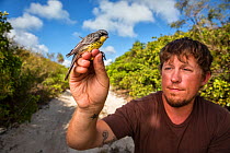 Scientist Nathan Cooper at the Smithsonian Migratory Bird Center holding Kirtland&#39;s warbler (Setophaga kirtlandii) during tagging study. CAt Island, Bahamas. April 2017.