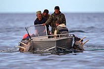 Siberian Yupiks who have killed two walruses returning to their village by boat, Preobrazheniya Bay, Chukotka, Russia.