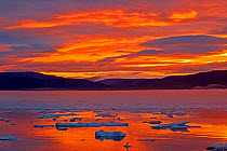 Pack ice at sunset, Wrangel island, Far East Russia.