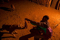 Man feeding wild Spotted hyenas (Crocuta crocuta) at night in City of Harar. This is a centuries old tradition. Ethiopia. February 2008.