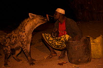 Man feeding wild Spotted hyenas (Crocuta crocuta) at night in City of Harar. This is a centuries old tradition. Ethiopia. February 2008.