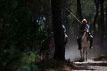 Men on horseback during the round up of mares and foals from marshland to the corrals of the town.  Donana National Park, Spain. September 2014.