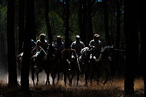 Men on horseback during the annual round up and transfer of the mares and foals from the marsh to the corrals of the town. Donana National Park, Spain. September 2014.