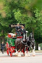 Two rare Shire horses pull a Heineken dray, near a canal, on the streets of Amsterdam, the Netherlands, June 2018.